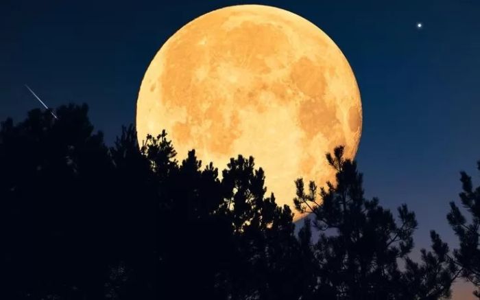 Fenomena Supermoon Cold Moon 5 Desember 2025: Penutup Spektakuler Tahun Ini