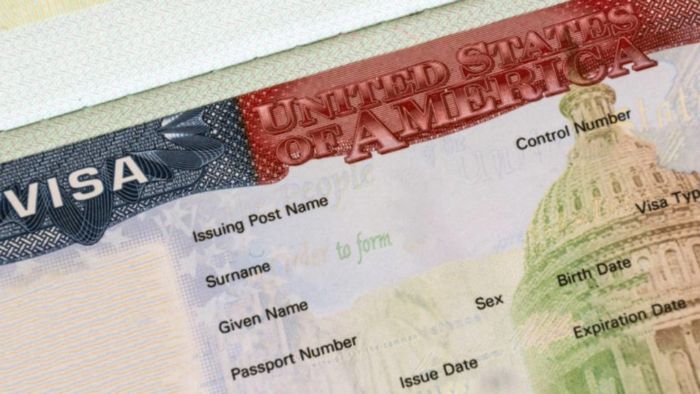 US Suspends Immigrant Visa Processing Worldwide US Suspends Immigrant Visa Processing Worldwide