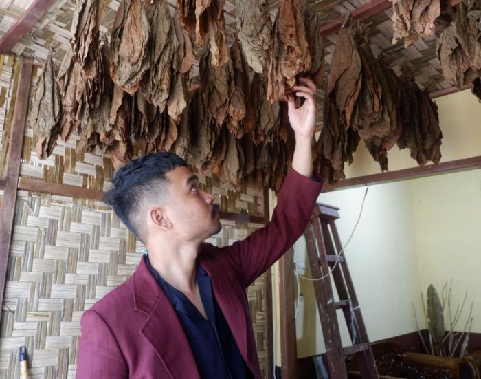 Maraknya Rokok Ilegal, Pengusaha Minta Pemerintah Gencar Lakukan ...