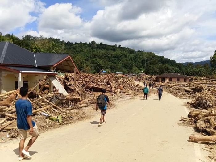 Tumpukan Kayu Bukti Penebangan di Hulu Pemicu Banjir Bandang Tapsel