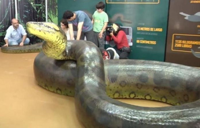 Er-xotinlar ortasidagi jinsiy aloqa