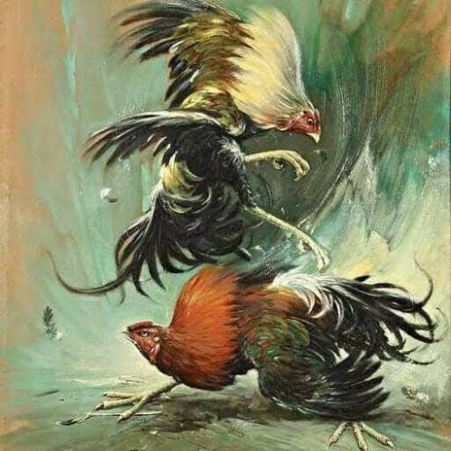 pemko_siantar_tak_pernah_urusi_izin_sabung_ayam.jpg